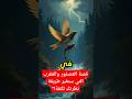 قصة العصفور والعقرب التي ستغير طريقة نظرتك للثقة قصص 