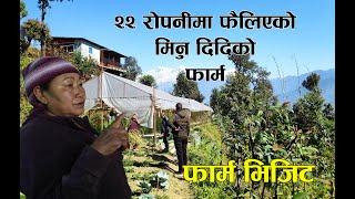 [MUST WATCH]२२ रोपनीमा फैलिएको मिनु दिदिको नमुना  कृषि फर्म || Minu DD ko Organic Farm Visit-Part II