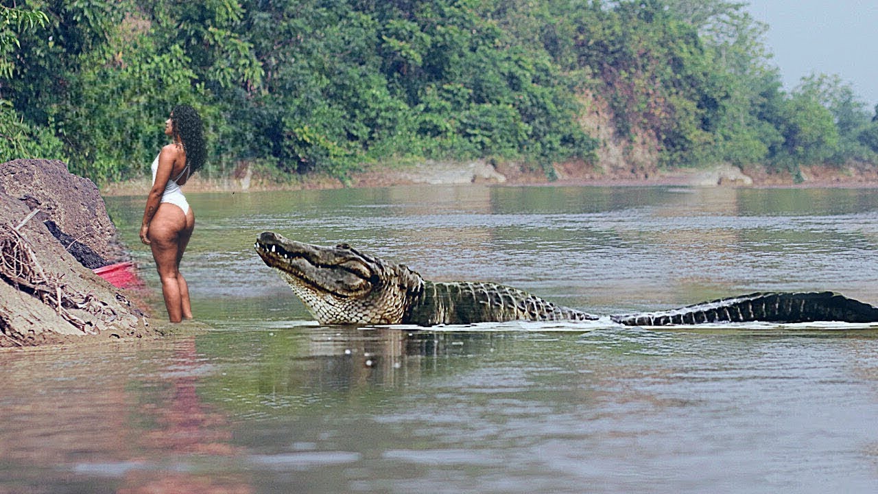 🔥 Вы Должны Это Увидеть! Эти Случаи с Животными Невозможно Забыть