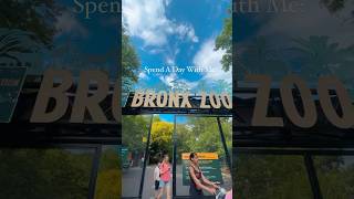 The Bronx Zoo: The Biggest Zoo in NYC