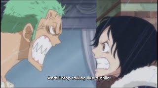 Zoro sees kuina in Tashigi ワンピース