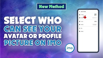 How to Select Who Can See Your Avatar or Profile Picture on Imo 2024 | Skill Wave