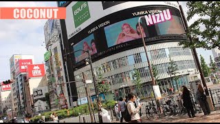 niziu coconut japan ニジュー kcon japan niziu リアクション jyp 필릭스 niziu reaction niziu 最新 ユニカビジョン niziu japan