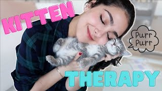 Giving my kitten a million kisses by Anna Fosters 6,000 views 5 months ago 2 minutes, 41 seconds
