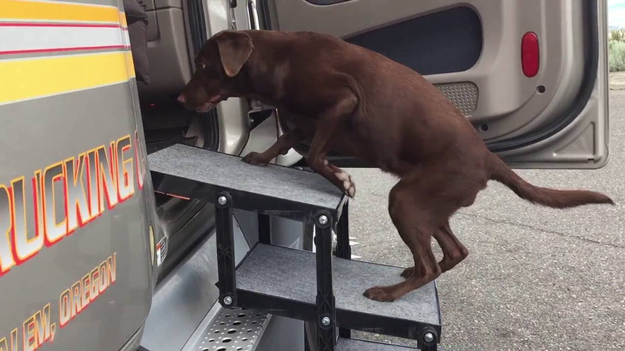 dog ramp for 18 wheeler