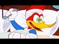 Woody Woodpecker Show | Painfaker | Full Episode | Cartoons For Children