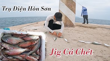 Thử Thách 24h Câu Cá Trụ Điện Hòn Sơn Giữa Mùa Bão | Hưởng Câu Cá