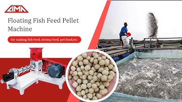 Floating Fish Feed Pellet Machine for making Fish feed, Shrimp feed, Pet food