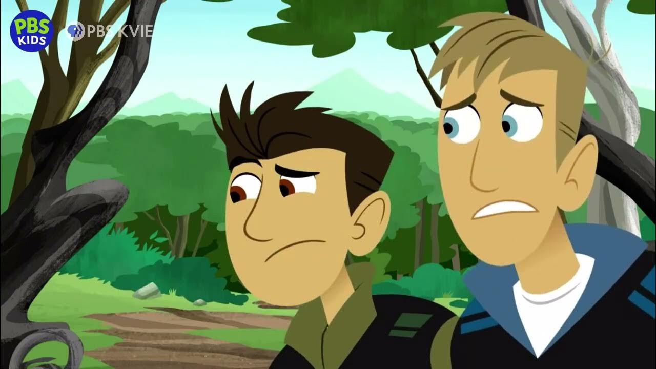 Wild Kratts - The Dhole Duplicator- full episode - YouTube