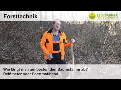 Video: Wofür werden Baumstämme verwendet?