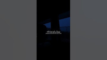 القارئ ياسر الدوسري #سورة_الزمر