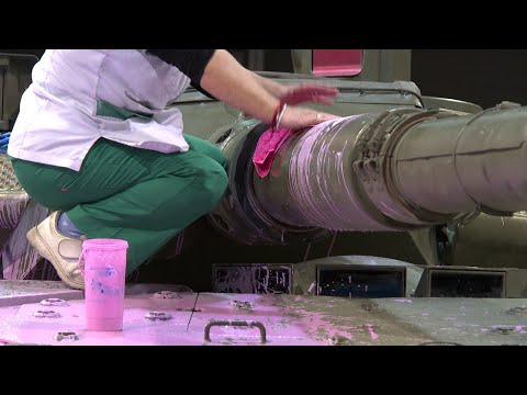 Alcaldesa de Valencia condena el vertido de pintura rosa sobre un tanque en ExpoJove