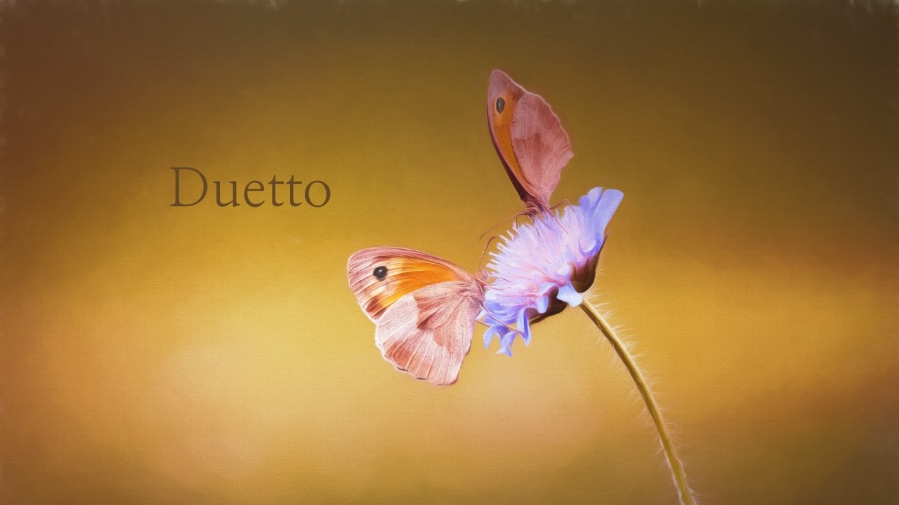 Mendelssohn | Op.38, No.6 