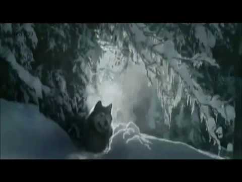 ✯♛გაგისწორდებათ ძაან მაარი სიმღერა და მაგარი ვიდეოა♛✯