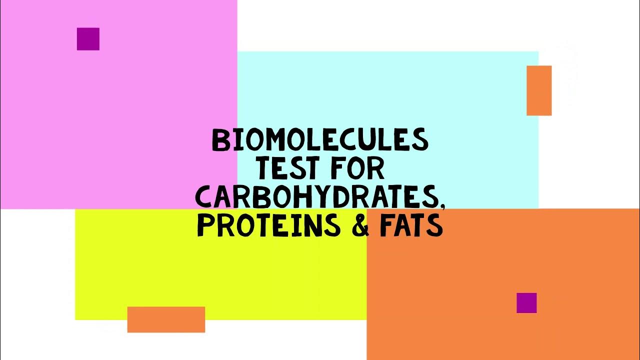 JEE ADVANCED 2021 BIOMOLECULES Tests for Carbohydrates, Proteins & Fats