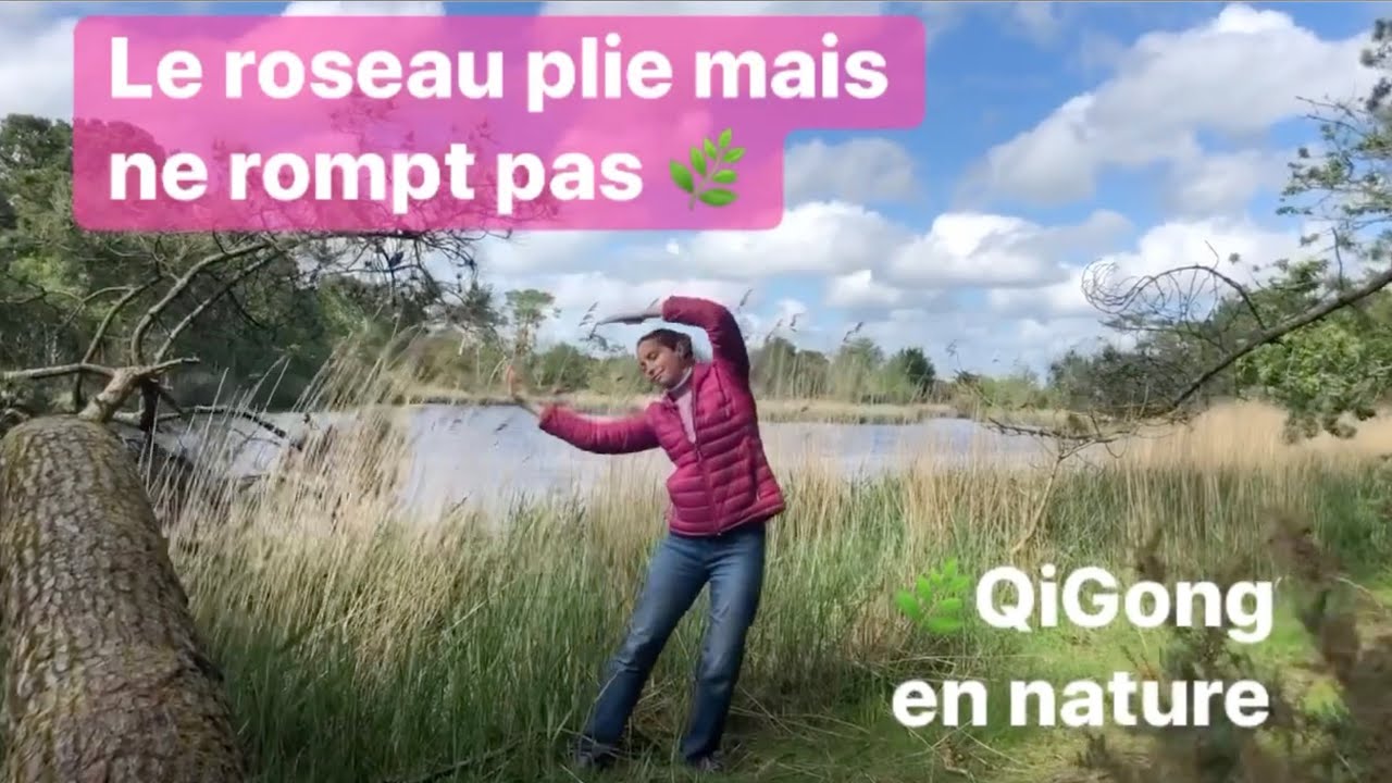 Le Roseau Plie Mais Ne Rompt Pas Signification