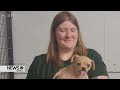 Panhandle Humane Society Staff Shines During Unprecedented Animal Hoarding Intake; Monetary Donation
