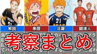 日向翔陽【ハ イ キ ュ ー !!】の徹底解説・考察まとめ