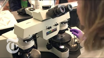 When DNA Changed the World of Forensics | Retro Report Preview | The New York Times