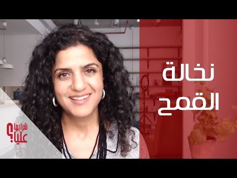 فيديو: ما يمكن طهيه من النخالة