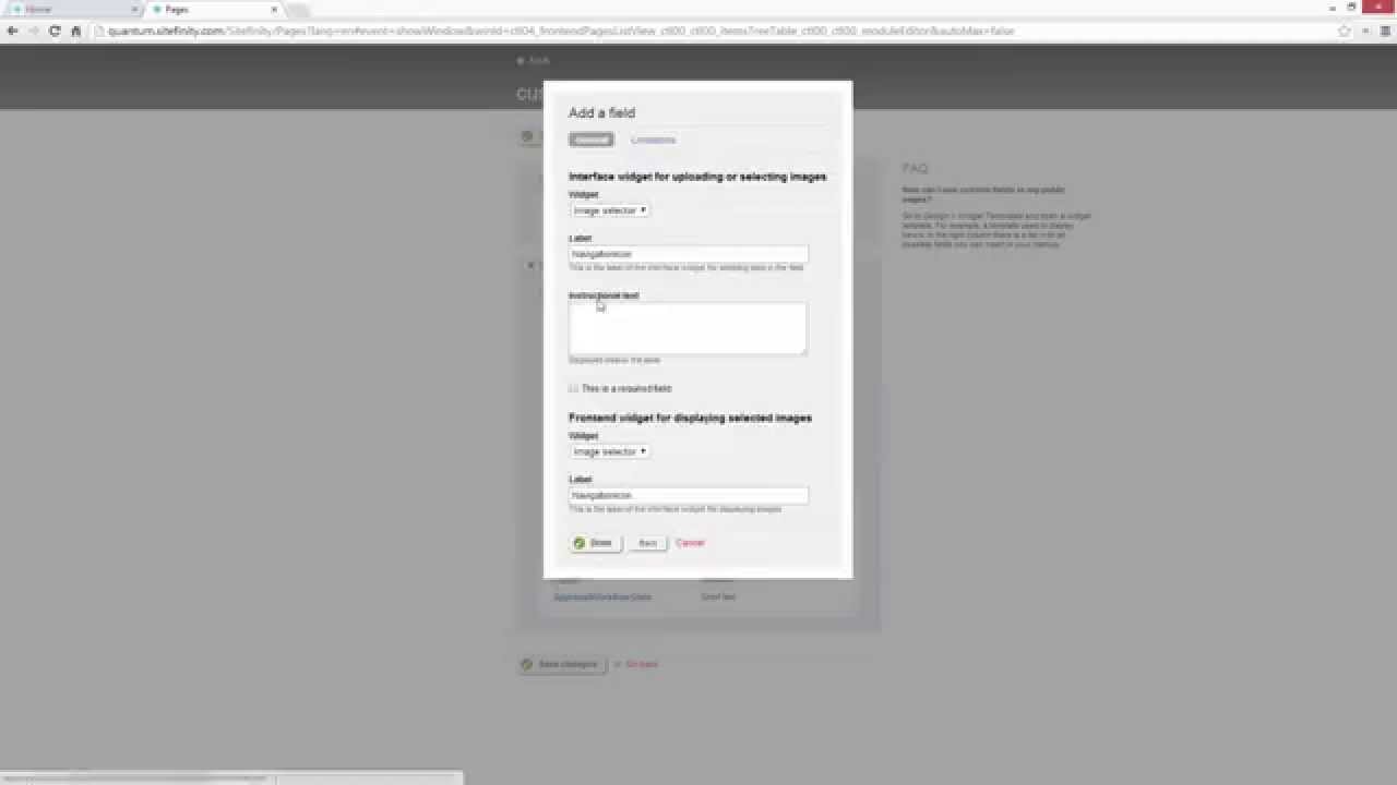 Custom Fields for Pages - YouTube