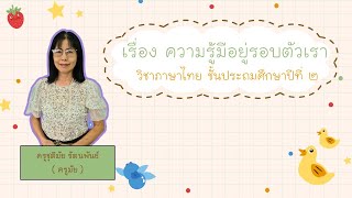 เรื่องความรู้มีอยู่รอบตัวเรา วิชาภาษาไทย ชั้นประถมศึกษาปีที่ 2