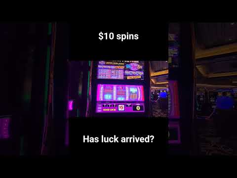 Gioca al Casinò Online in Italiano: Scopri Spin Lander