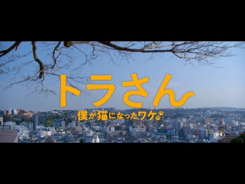 映画『トラさん～僕が猫になったワケ～』予告編2
