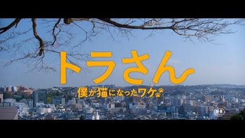 映画『トラさん～僕が猫になったワケ～』予告編2