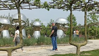 🌸🍃В самом фантастическом парке России - Цветут рододендроны и глициния, гигантские одуванчики.