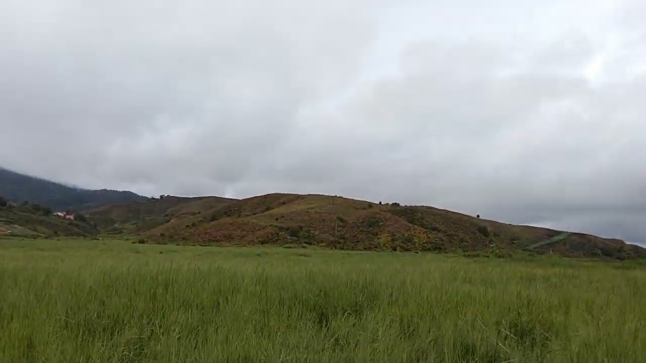 Pemandangan yang indah dan sejuk