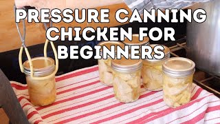 Pressure Canning Chicken for Beginners