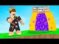 I Found a Billionaire ONLY Server in Skyblock Roblox Islands! Rags to Riches EP 8