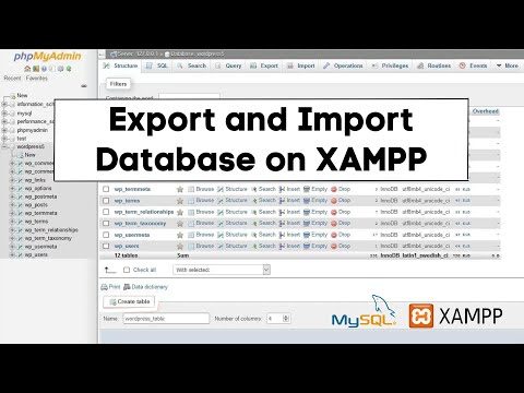 How to Export and Import Database in XAMPP (2023 Complete Guide)