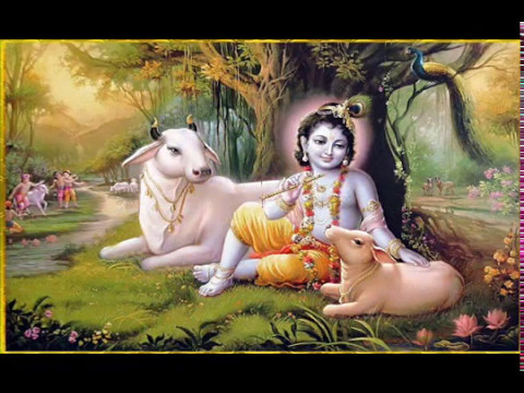 Jamuna Kinaare Jil Mil Kare Taare  Krishna Bhajan  Radha Krishna Ji Maharaj  Bhakti Bhajan