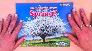 Spring Book: What Can You See in Spring by Sian Smith