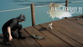 final fantasy xv luxury cat food