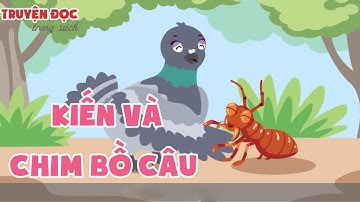 Kiến và chim Bồ Câu - Ants and Doves | Tiếng Việt 1, tập 2 | Kết nối tri thức với cuộc sống