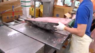 Japon - Tokyo - Marché au poissons de Tsukiji - 築地東京