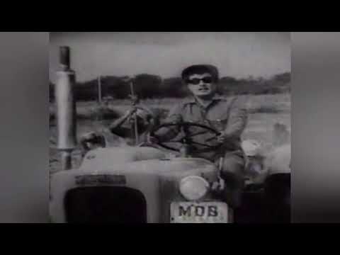 Kadavul Ennum Muthalali I Vivasaayi Tamil Movie Song I MGR I Melody Songs By Nagarajan