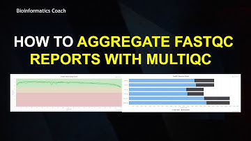 How to Aggregate Multiple FastQC Reports into one File using MultiQC | DNA and Protein sequences
