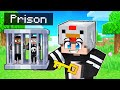 I Build Smallest  Prison To Locking My Friends In Minecraft!