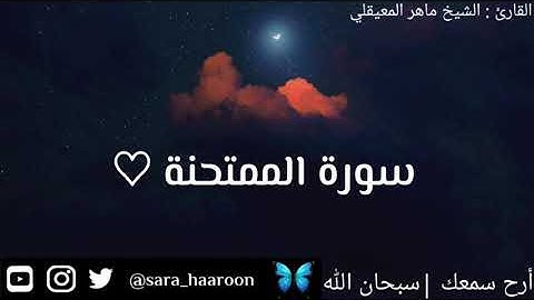 سورة الممتحنة بصوت الشيخ ماهر المعيقلي