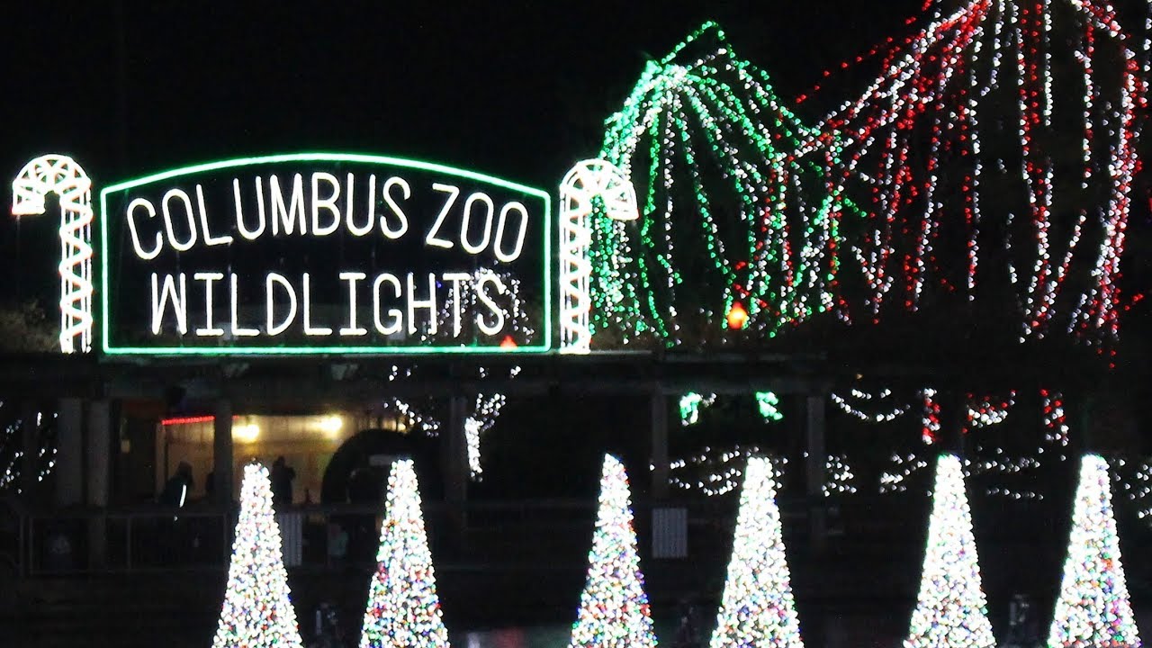 Holiday Light Show at Columbus Zoo YouTube