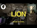 LION | Elevation Worship // Drums Tutorial