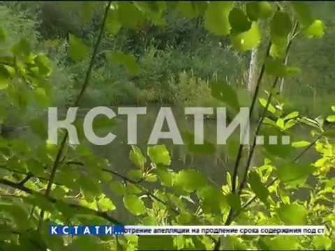Грибной сезон отменяется - засушливое лето оставит грибникам только сыроежки