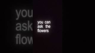 Connie Francis - Pretty Little Baby lyrics #shorts