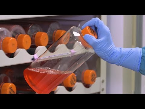 Rockland's Cell Culture Capabilities