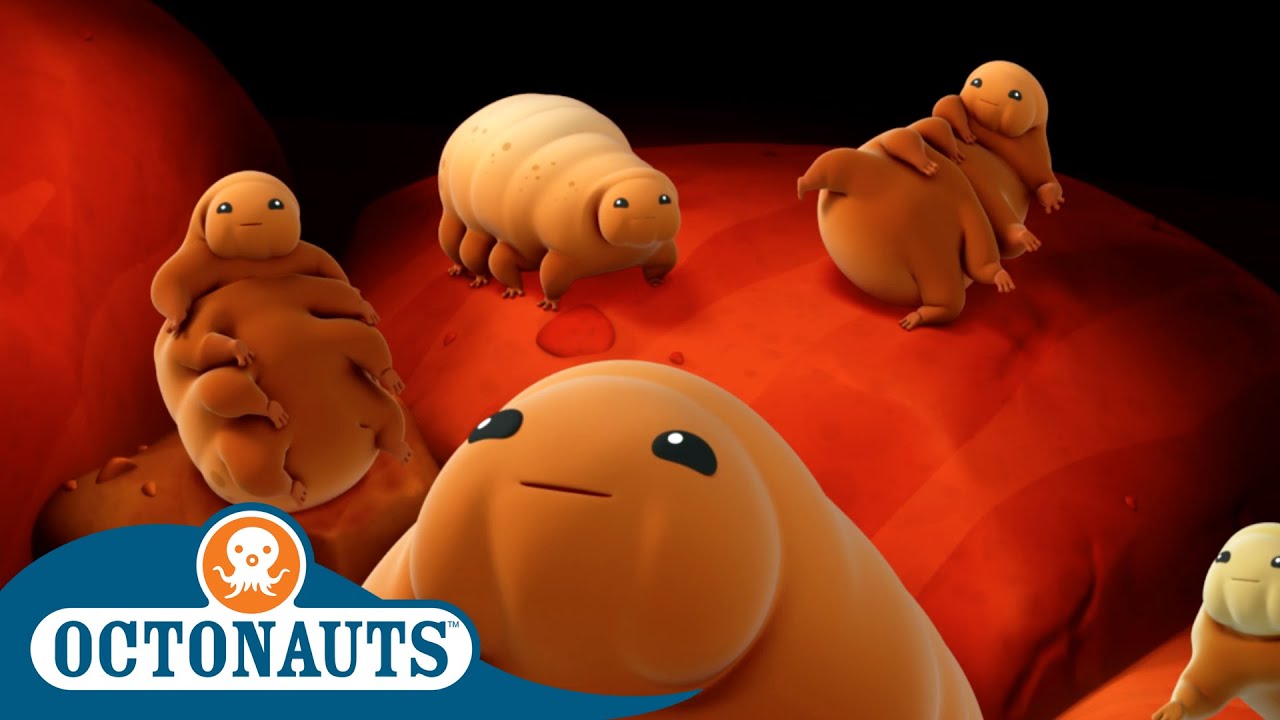 Octonauts The Water Bears Cartoons for Kids Underwater Sea
