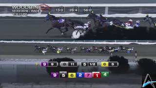 Nips Beach Girl 122216